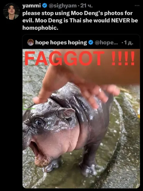 Moo Deng Is Not Homophobic