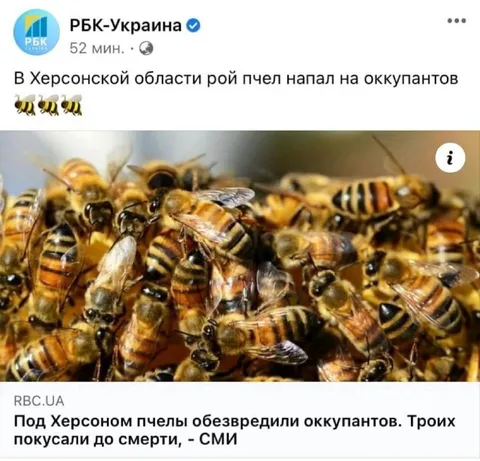 Пчёлы обезвредили оккупантов