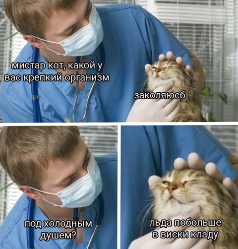 Кот закаляется под холодным душем