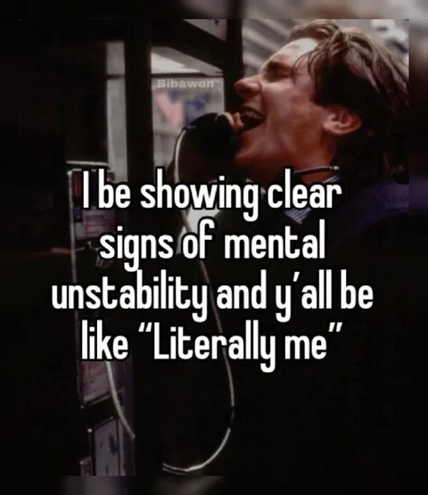 Literally Me Mental Instability