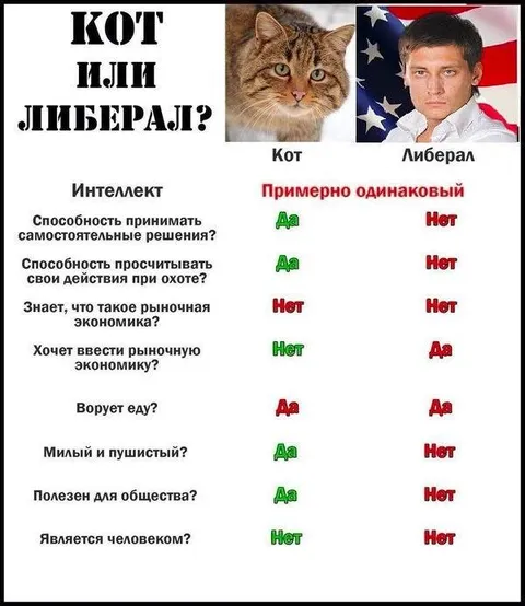 Кот или либерал?
