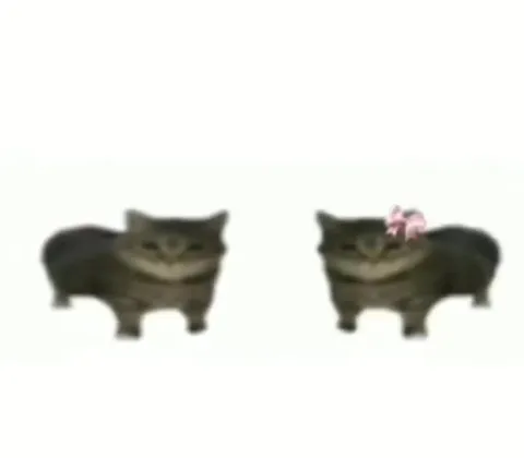 Котики танцуют и взрываются