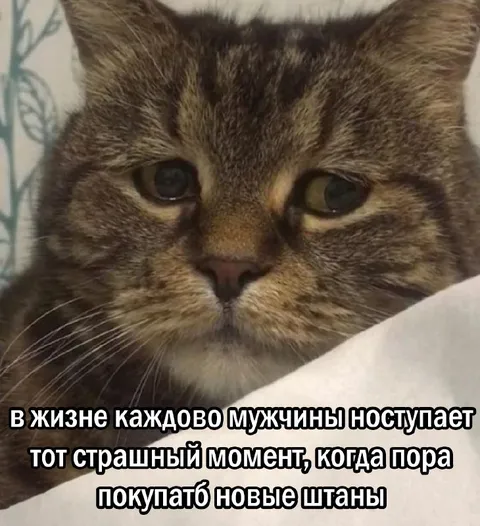 Пора покупать новые штаны
