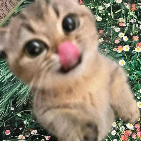 Милый котёнок среди цветов