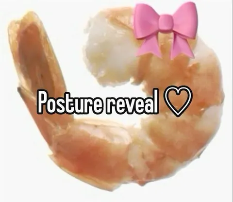 Posture Reveal Shrimp