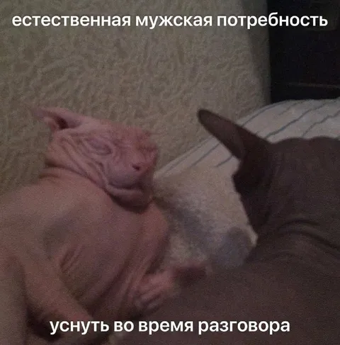 Естественная мужская потребность уснуть