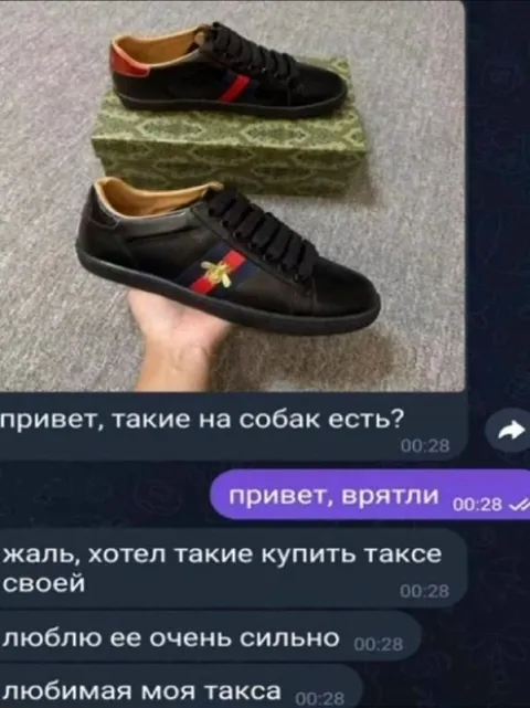 Кроссовки для любимой таксы