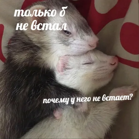 Почему у него не встает