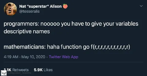 Programmers vs Mathematicians Variables