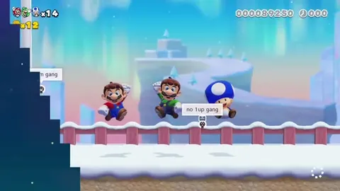 Mario level maker chaos