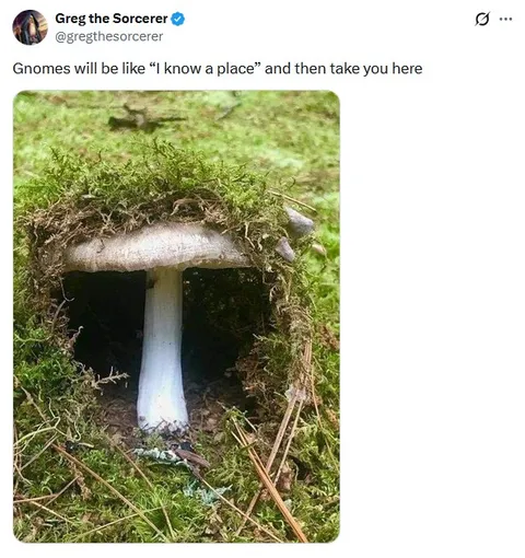 Gnomes Know a Place