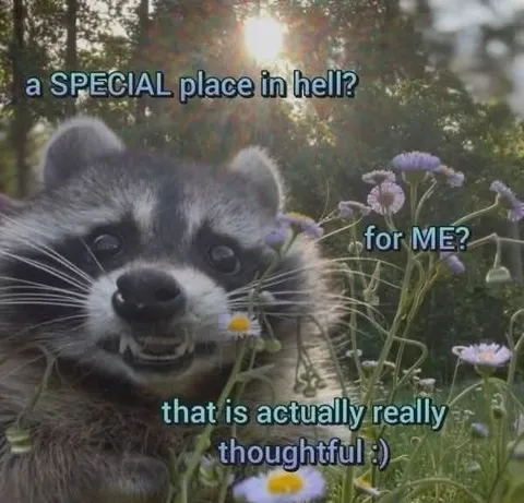 Raccoon Finds Hell Thoughtful