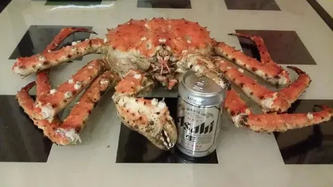 Пиздатый краб с пивом
