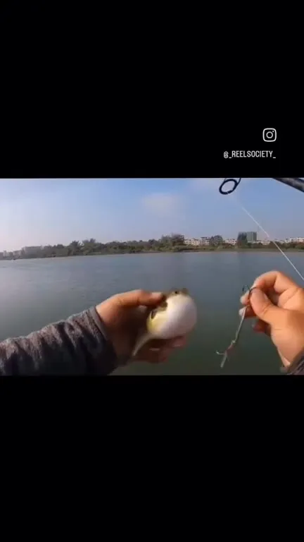 Рыба сорвалась с крючка