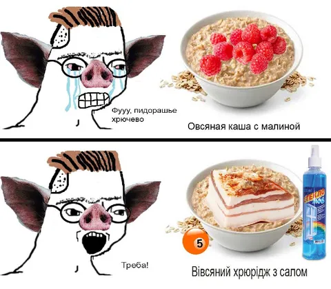 Овсяная каша с салом