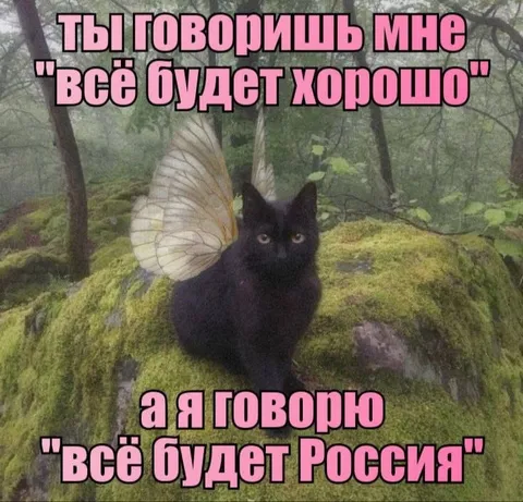Кот обещает всё будет Россия