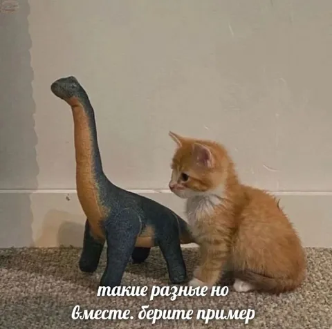 Такие разные, но вместе
