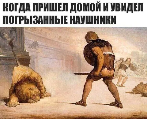 Погрызенные наушники дома