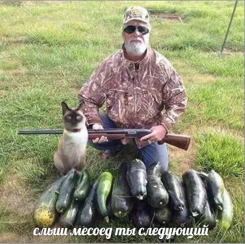 Мясоед, ты следующий