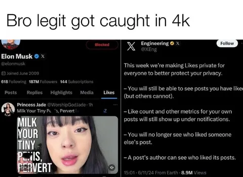 Elon Musk Caught Liking It