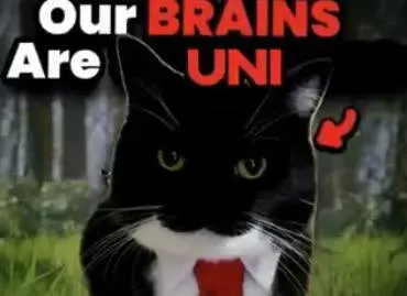 Our Brains Are Uni