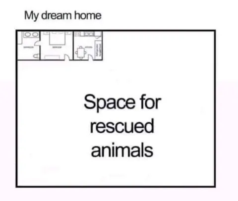Dream Home for Rescued Animals