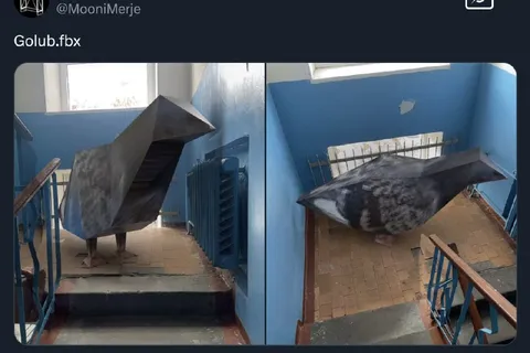 Голубь как самолёт-невидимка