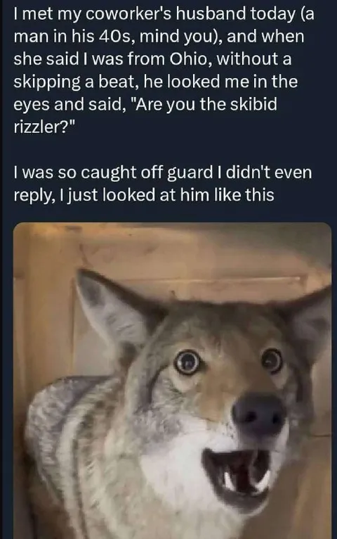 Are You the Skibidi Rizzler?