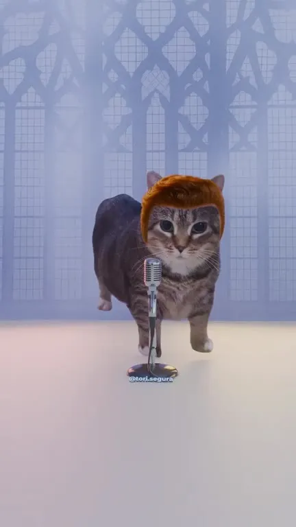 Кот поёт Never Gonna Give You Up