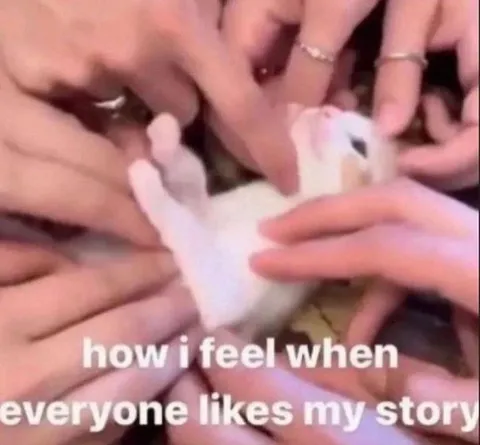 Everyone Likes My Story