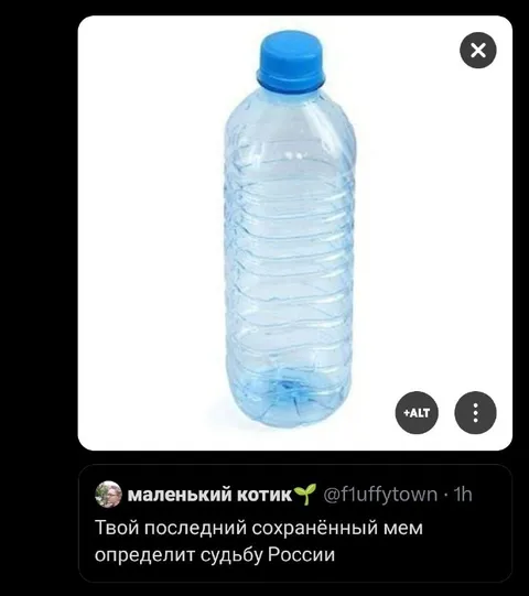 Твой последний сохранённый мем