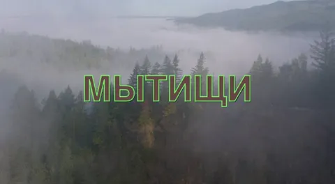 МЫТЩЦИ в тумане