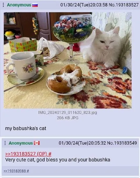 My Babushka's Cat