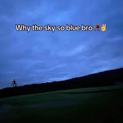 Why the Sky So Blue Bro