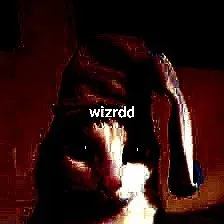 Dark Wizard Animal