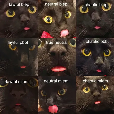Cat Alignment Bleps and Mlems