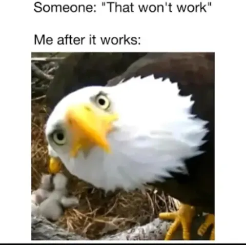 Eagle After It Works