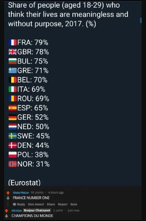 France Has No Purpose