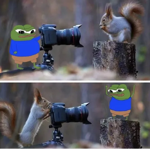 Пепе фотографирует белку