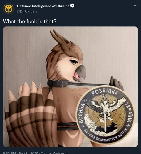 What the Fuck Is That?