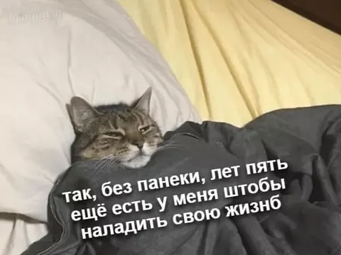Пять лет на новую жизнь