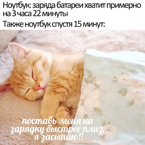 Поставь ноутбук на зарядку