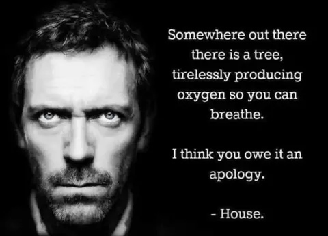 House Apologizes to a Tree