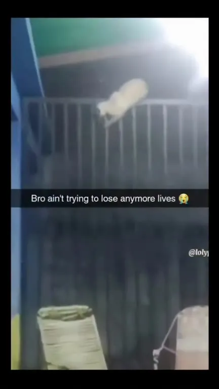 Bro Ain't Trying to Lose Lives