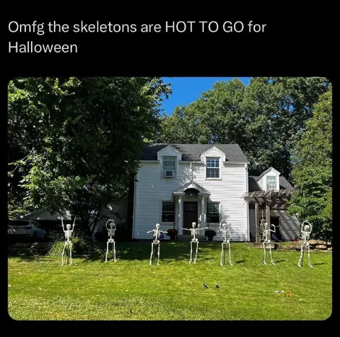 Skeletons Ready for Halloween