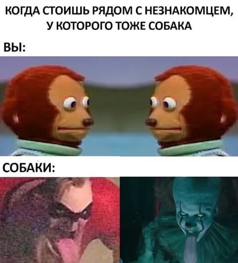 Когда у незнакомца тоже собака