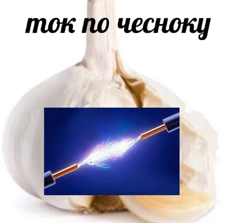 Ток по чесноку