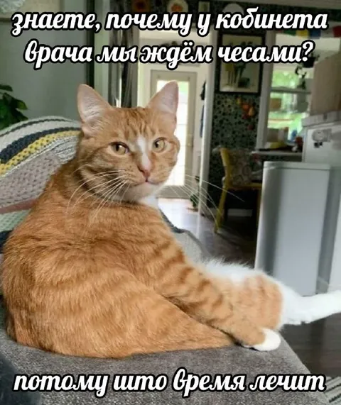Почему у врача ждём часами