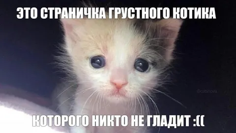 Страничка грустного котика