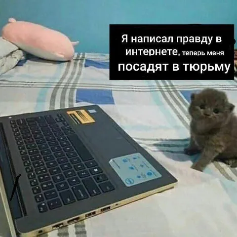 Правда в интернете